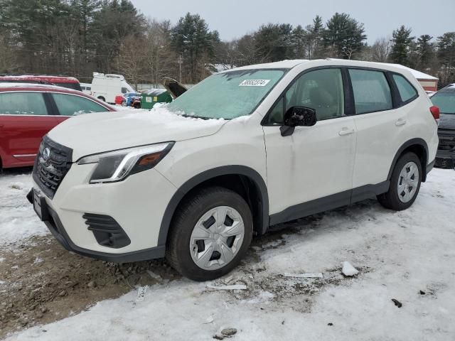 2023 Subaru Forester