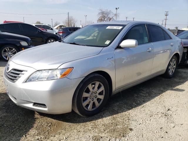 2008 Toyota Camry Hybrid