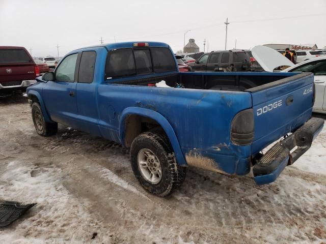 2000 Dodge Dakota