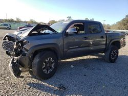 Salvage cars for sale from Copart Riverview, FL: 2023 Toyota Tacoma Double Cab