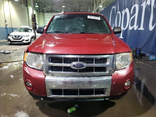 2011 Ford Escape XLT