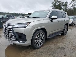 Salvage cars for sale at Harleyville, SC auction: 2023 Lexus LX 600 Base