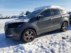 Ford salvage cars for sale: 2016 Ford Escape SE