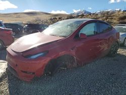 Salvage cars for sale at Reno, NV auction: 2021 Tesla Model Y