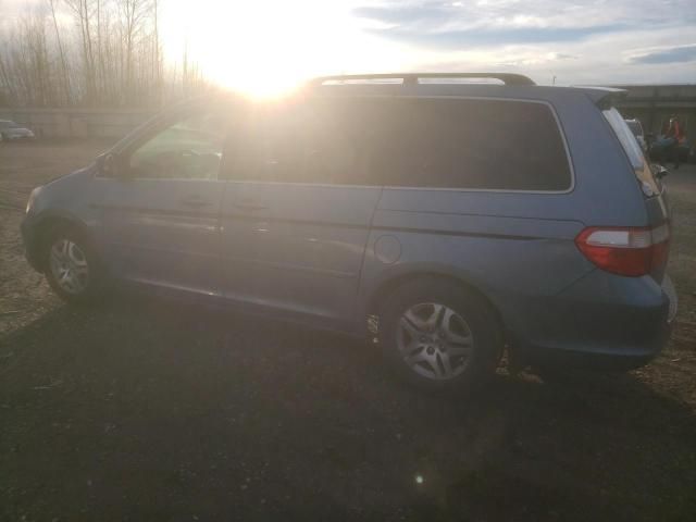 2005 Honda Odyssey EXL