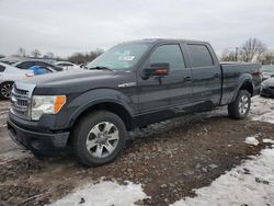 Salvage cars for sale at Hillsborough, NJ auction: 2011 Ford F150 Supercrew
