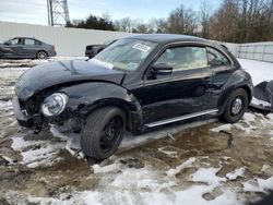 Salvage cars for sale at Windsor, NJ auction: 2014 Volkswagen Beetle