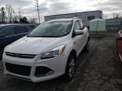 Salvage cars for sale at Bridgeton, MO auction: 2014 Ford Escape Titanium