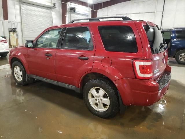 2009 Ford Escape XLT