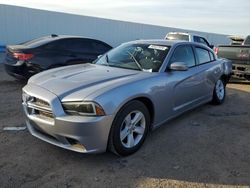 Salvage cars for sale at Anthony, TX auction: 2013 Dodge Charger SE