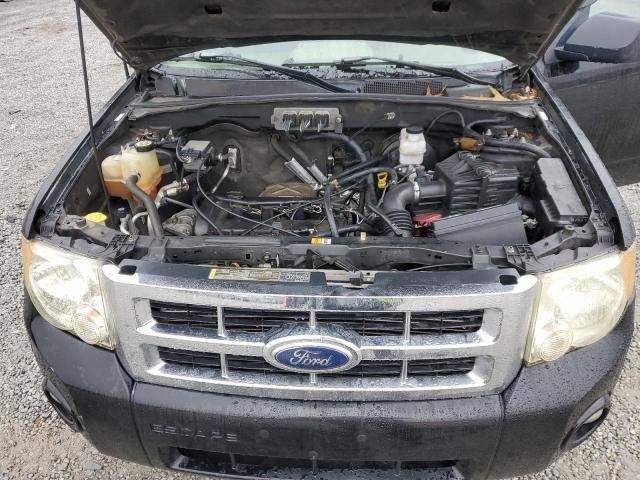 2008 Ford Escape XLT