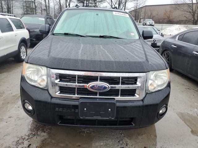 2008 Ford Escape XLT