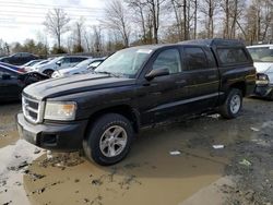 Dodge salvage cars for sale: 2008 Dodge Dakota Quad SLT