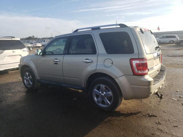 2012 Ford Escape Limited