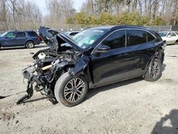 Salvage cars for sale at Waldorf, MD auction: 2020 Ford Escape SEL