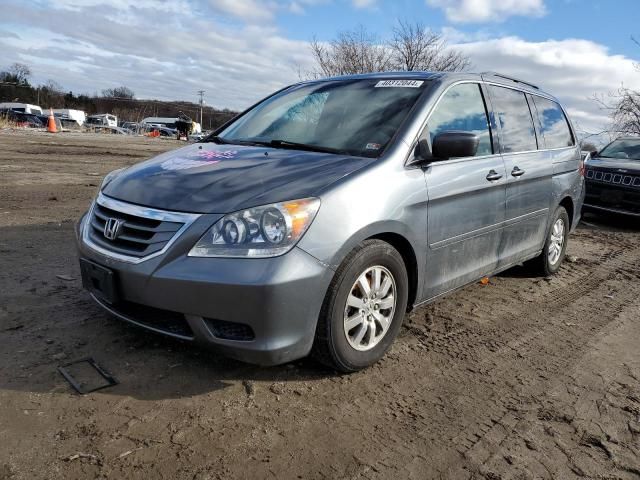 2010 Honda Odyssey EXL