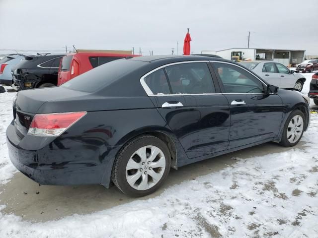 2008 Honda Accord EXL