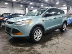 Salvage cars for sale from Copart Ham Lake, MN: 2013 Ford Escape S