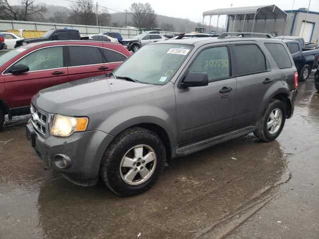 2011 Ford Escape XLT