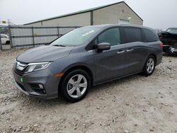 Honda salvage cars for sale: 2019 Honda Odyssey EXL