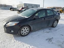 Salvage cars for sale from Copart Bismarck, ND: 2012 Ford Focus SE