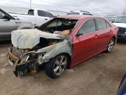 Salvage cars for sale at Albuquerque, NM auction: 2011 Toyota Camry Base