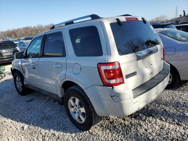 2010 Ford Escape Limited