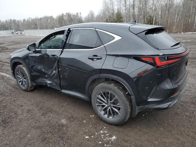 2023 Lexus NX 250