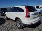 2010 Honda CR-V EXL