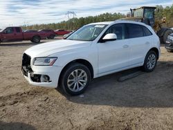 Audi Q5 Premium salvage cars for sale: 2016 Audi Q5 Premium