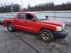 2005 Dodge Dakota Quattro