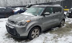 Salvage cars for sale at Waldorf, MD auction: 2015 KIA Soul +