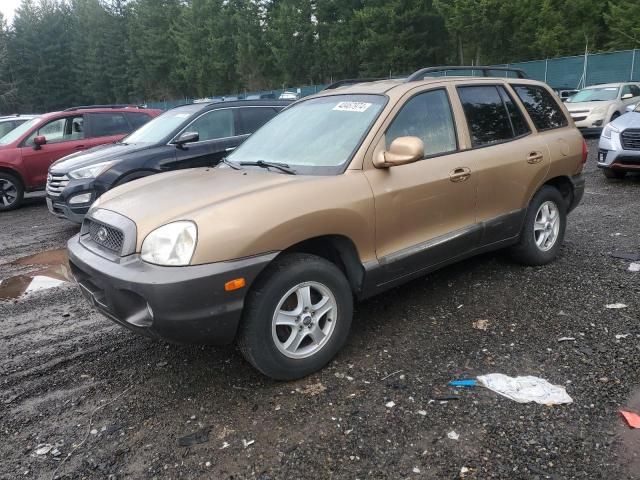 2001 Hyundai Santa FE GLS