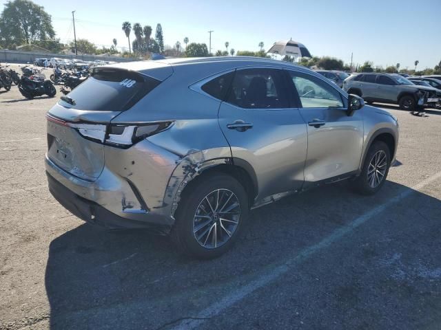 2023 Lexus NX 350H