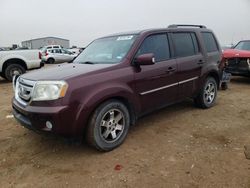 Salvage cars for sale from Copart Amarillo, TX: 2011 Honda Pilot Touring