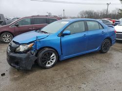 Salvage cars for sale at Lexington, KY auction: 2010 Toyota Corolla Base