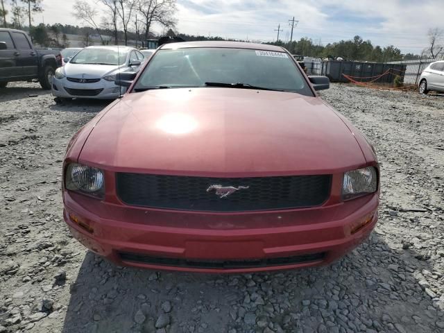 2005 Ford Mustang