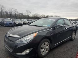 Salvage cars for sale from Copart New Britain, CT: 2013 Hyundai Sonata Hybrid