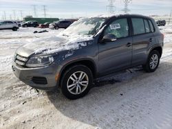 Volkswagen Tiguan S salvage cars for sale: 2013 Volkswagen Tiguan S