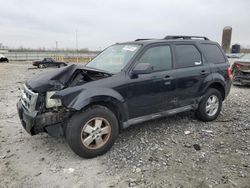 Ford salvage cars for sale: 2010 Ford Escape XLT