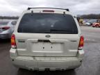 2005 Ford Escape Limited