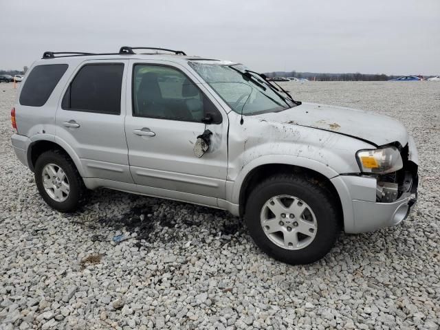 2007 Ford Escape Limited