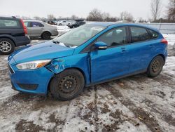 Salvage cars for sale from Copart London, ON: 2015 Ford Focus SE