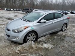 Hyundai salvage cars for sale: 2013 Hyundai Elantra GLS