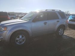 Ford salvage cars for sale: 2011 Ford Escape XLT