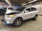 2007 Hyundai Santa FE SE