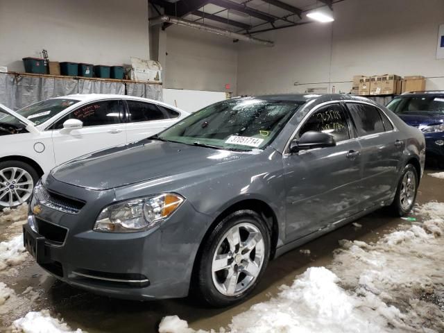 2009 Chevrolet Malibu LS