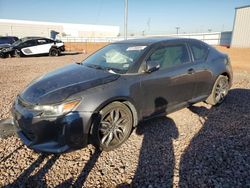 Salvage cars for sale at Phoenix, AZ auction: 2016 Scion TC