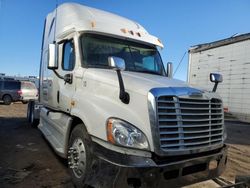 Salvage trucks for sale at Brighton, CO auction: 2012 Freightliner Cascadia 125