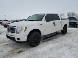 Salvage cars for sale from Copart Greenwood, NE: 2013 Ford F150 Supercrew